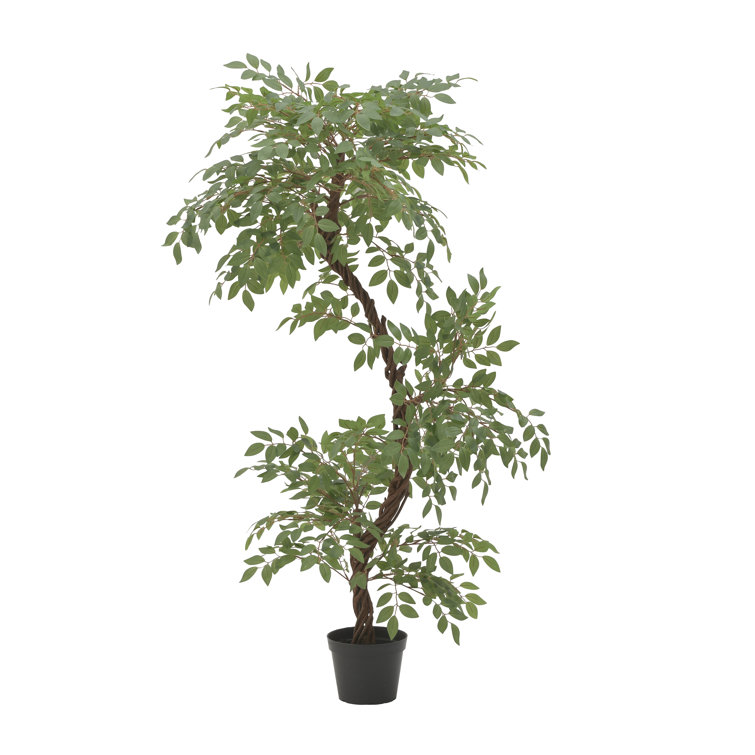 The Seasonal Aisle 160Cm Artificial Ficus Tree in Pot Wayfair.co.uk